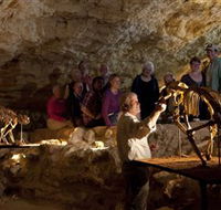 Naracoorte Caves National Park - Accommodation Batemans Bay