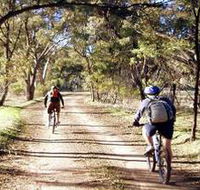Bike About Mountain Bike Tours And Hire - Accommodation Batemans Bay