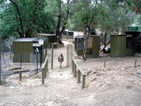 Humbug Scrub Wildlife Sanctuary - Accommodation Batemans Bay 0