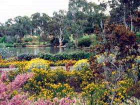 Wittunga Botanic Garden - Accommodation Batemans Bay 0