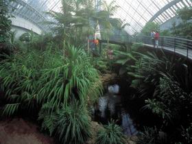 Bicentennial Conservatory - Accommodation Batemans Bay 0