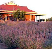 Bella Lavender Estate - Accommodation Batemans Bay