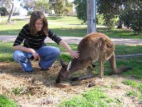 Mccallum SA Accommodation Batemans Bay