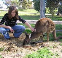 Pendleton Farmstay - Accommodation Batemans Bay