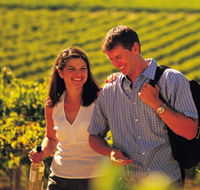 Lady Bay Vineyard - Accommodation Batemans Bay
