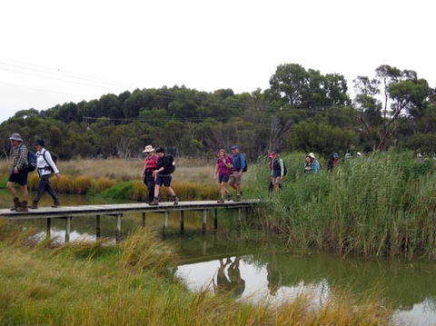 Lavender Federation Trail - Accommodation Batemans Bay 1