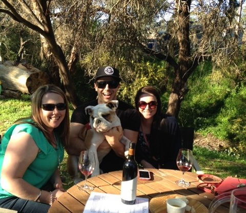 DogRidge - Accommodation Batemans Bay 3