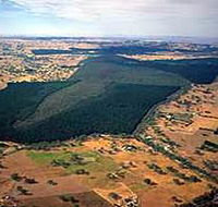 Mount Crawford Forest Reserve - Accommodation Batemans Bay