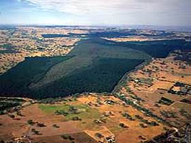 Mount Crawford Forest Reserve - Accommodation Batemans Bay 0