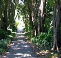 Adelaide Botanic Garden - Accommodation Batemans Bay