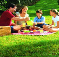 Bruny Island Berry Farm - Accommodation Batemans Bay