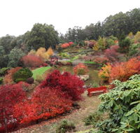 Emu Valley Rhododendron Garden - Accommodation Batemans Bay