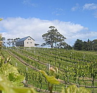 Bruny Island Premium Wines Bar and Grill - Accommodation Batemans Bay