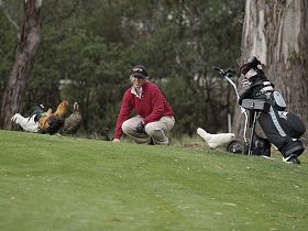 Tasmania Golf Club - The - Accommodation Batemans Bay 0