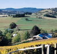 Freycinet Vineyards Pty Ltd - Accommodation Batemans Bay