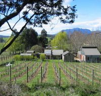 Wilmot Hills Vineyard - Accommodation Batemans Bay