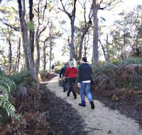 Bridport Walking Track - Accommodation Batemans Bay