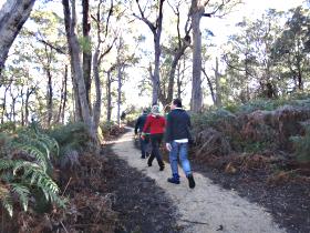 Bridport Walking Track - Accommodation Batemans Bay 0
