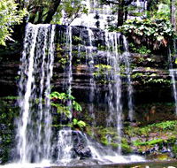 Mt Field National Park - Accommodation Batemans Bay