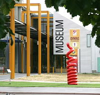 Queen Victoria Museum and Art Gallery - Accommodation Batemans Bay