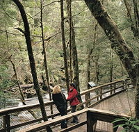 Franklin River Nature Trail - Accommodation Batemans Bay