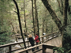 Franklin River Nature Trail - Accommodation Batemans Bay 0
