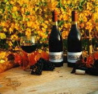 Craigow Vineyard - Accommodation Batemans Bay