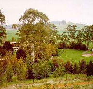 The Tasmanian Arboretum - Accommodation Batemans Bay