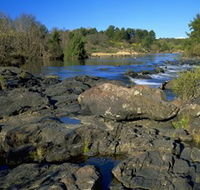 Pine Island to Point Hut Reserve - Accommodation Batemans Bay
