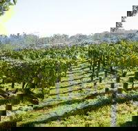 Surveyor's Hill Vineyards - Accommodation Batemans Bay