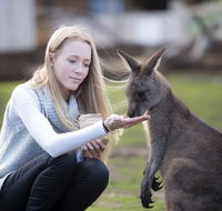 Bonorong Wildlife Sanctuary - Accommodation Batemans Bay