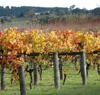 Apsley Gorge Vineyard - Accommodation Batemans Bay