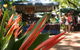 Nightcliff Markets - thumb 0