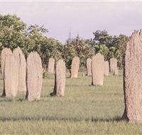 Magnetic Termite Mounds - Accommodation Batemans Bay