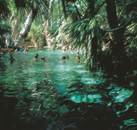 Mataranka Thermal Pool - Accommodation Batemans Bay