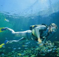 Kirra Reef Dive Site - Accommodation Batemans Bay