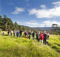 Apple Tree Park - Accommodation Batemans Bay