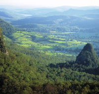 Springbrook Plateau Springbrook National Park - Accommodation Batemans Bay