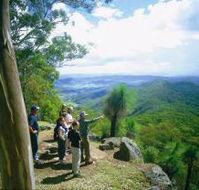 Gold Coast Hinterland Great Walk - Accommodation Batemans Bay