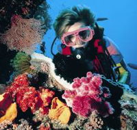 Cook Island Dive Site - Accommodation Batemans Bay