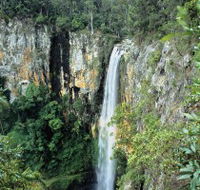 Gondwana Rainforests of Australia - Accommodation Batemans Bay