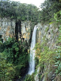 Gondwana Rainforests Of Australia - Accommodation Batemans Bay 0