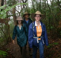 Mount Cougal Springbrook National Park - Accommodation Batemans Bay