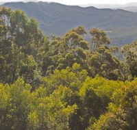 Conondale National Park - Accommodation Batemans Bay