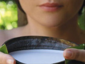 Ikatan Day Spa - Accommodation Batemans Bay 0