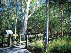 Noosa Heads QLD Accommodation Batemans Bay