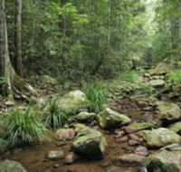 Amamoor State Forest - Accommodation Batemans Bay