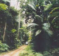 Conondale Great Walk - Accommodation Batemans Bay