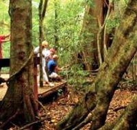 Mary Cairncross Scenic Reserve - Accommodation Batemans Bay