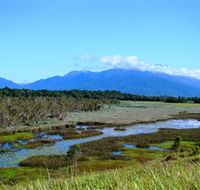 Eubenangee Swamp National Park - Accommodation Batemans Bay